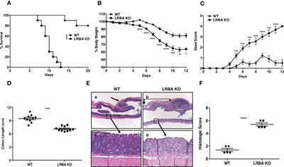 LRBA Deficiency Can Lead to Lethal Colitis That Is Diminished by SHIP1 Agonism